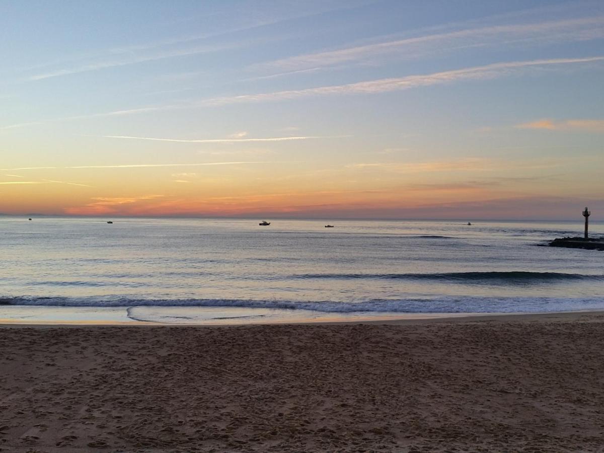 Charmant T3 De Standing A Capbreton, Jardin, 3 Chambres, Terrasse Couverte, Proche Port Et Plages - Fr-1-239-484 Ngoại thất bức ảnh